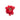 002.021 TOMATO SPLAT