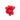 002.026 TOMATO SPLAT