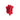 002.026 TOMATO SPLAT