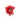 002.027 TOMATO SPLAT
