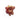002.029 TOMATO SPLAT
