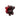 002.030 TOMATO SPLAT