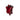 002.030 TOMATO SPLAT