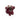 002.031 TOMATO SPLAT
