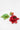 002.024 TOMATO SPLAT